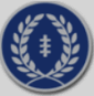 National Football Foundation